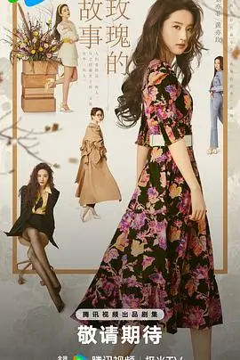 影视大全 绝命律师